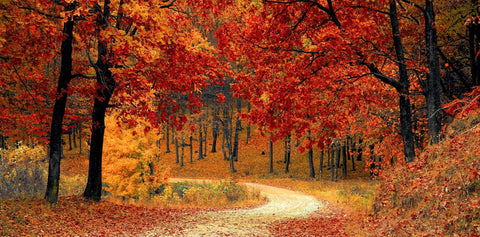 Autumn Hair Care Routine: How to Keep Your Hair Healthy This Season - Hair Made Easi